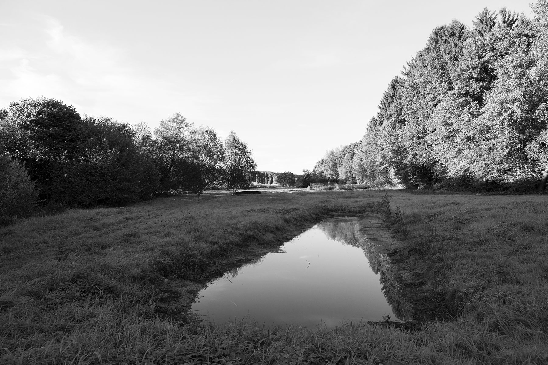 Blick ins Tal